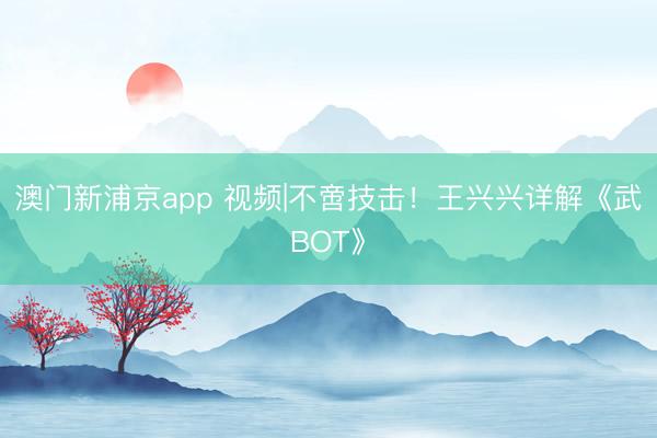 澳門新浦京app 視頻|不啻技擊！王興興詳解《武BOT》